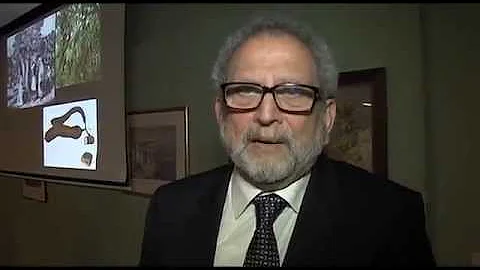 Lecture: What the Ancient Cypriots Ate by D Michae...