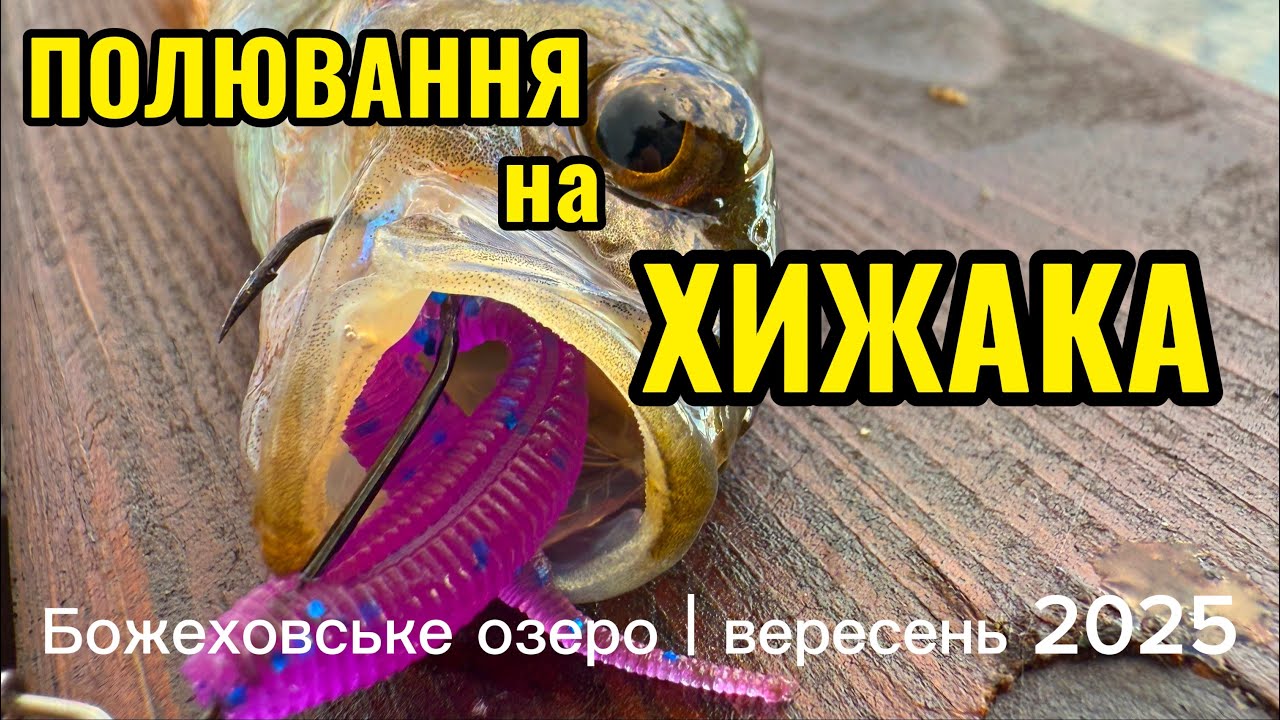🇵🇱 🎣Як окуні побилися за силікон… | Божеховське озеро | Кінець вересня 2025