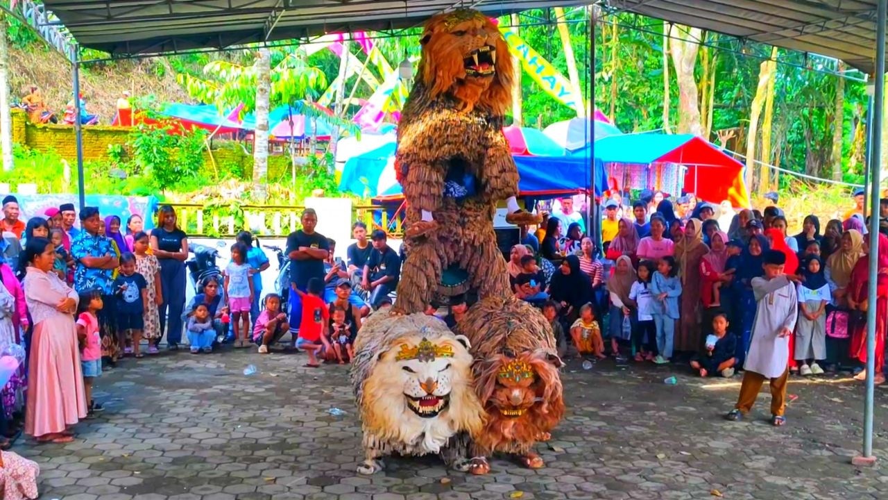 🔴LIVE | ATRAKSI kruw can macanan singo raung Di acara haflatul imtihan tampil di desa sumber ketempa