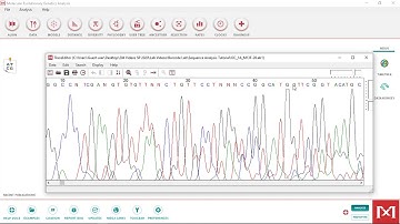 CO1 Barcode DNA Analysis Using MEGA