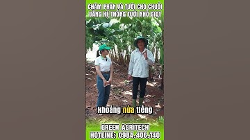 Châm phân và tưới cho chuối qua hệ thống tưới nhỏ giọt | Green Agritech
