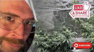 LIVE ON WEDNESDAY WITH UNCLE POTSQUATCH~~!!