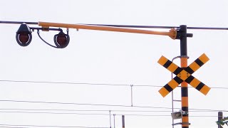 【踏切】えちごトキめき鉄道　全方位警報灯の防雪フードが片側だけあるオーバーハングの踏切 (Railroad crossing in Japan)