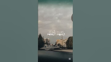 لنقود ونستمع 🎧🚗… اكتب شيء تؤجر عليه…‏‎#اكسبلور #home #قرآن #street #سورة_يس #محمد_اللحيدان
