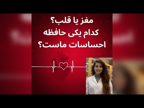 مغز یا قلب کدام یکی حافظه احساسات ماست