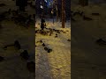 Нынче на Урале такое зимнее лето))😝🌨🌨🌨🌩🌩🌩❄️❄️❄️#юмор#погода#холода #урал