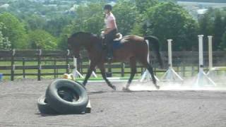 MVI_1868.AVI