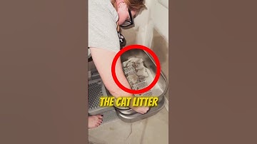 Why Do People Throw Away Clean Cat Litter? Clever 2-Part Litter Box Cleaning Explained!
