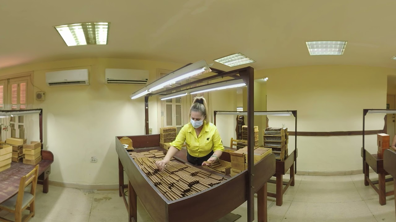 Enter the most prestigious factory of Habanos. - 360º Video