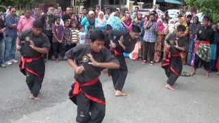 Psht Cabang Khusus Johor Malaysia Bersama Persatuan Silat Cekak Harimau