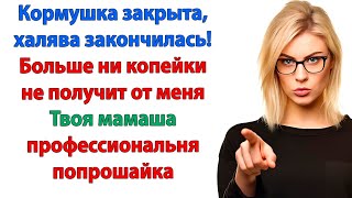 видео: Бесплатный сыр только в мышеловке! А у меня строгая диета для попрошаек рассказы свекровь и невестка картинка: Бесплатный сыр только в мышеловке! А у меня строгая диета для попрошаек рассказы свекровь и невестка