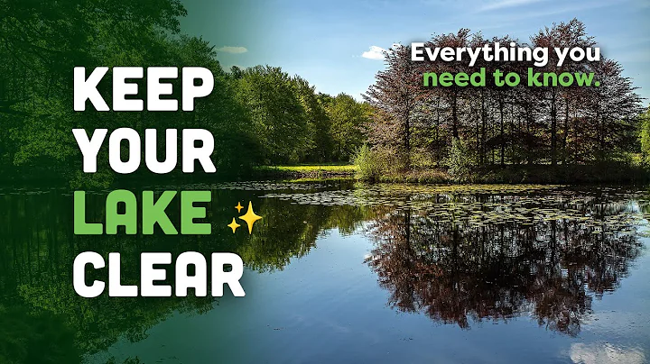 How to Control Duckweed and Blanket Weed in Lakes