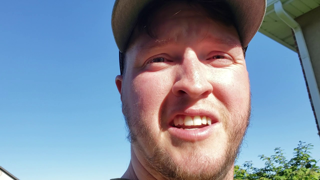 First look at the lawn post vacation