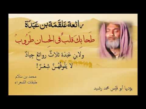 ط حا ب ك قلب في الح سان ط ر وب علقمة بن ع ب دة التميمي