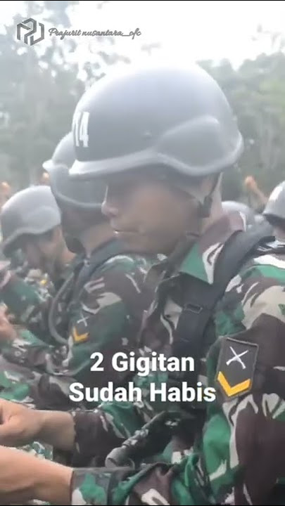 PENDIDIKAN TNI | #tentara #tni #tnipolri #tniad #tnial #tniau