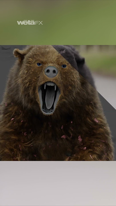 Grumpy Bear | Cocaine Bear | Wētā FX #vfx #vfxshorts