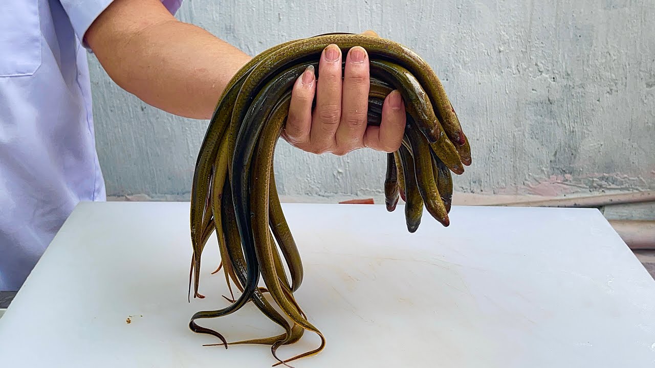 eel recipe. vietnamese food // Asian chef
