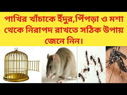 ভিডিও: প্রাণীদের কী সুরক্ষা দরকার