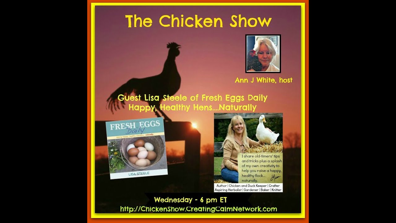 The Chicken Show with Lisa Steele - YouTube
