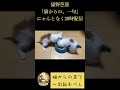 猫からの一句　#【トット&小夏さま】#猫野芭蕉 #猫のいる暮らし #猫のいる生活 #猫好きさんと繋がりたい