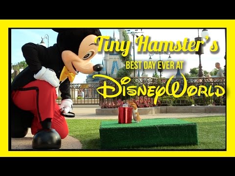 Ep. 9 - Tiny Hamster's Best Day Ever at Walt Disney World