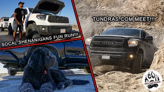SOCAL SHENANIGANS FUN RUN! - TUNDRAS.COM MEET (Anza Borrego Desert) | Dirty Paws Off-road