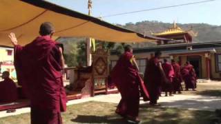 Words from the Karmapa