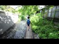 静岡県　柿田川　源兵衛川　2011.8.4