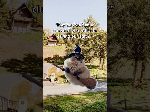 Thumbnail for The Short Term Shop