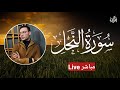 تلاوة خاشعة بث مباشر مطو ل بصوت القاري طارق محمد سورة النحل Live