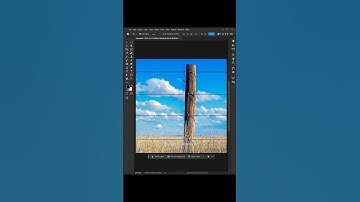 How to Remove Fences In Adobe Photoshop 2025 #logo_academy