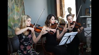 Alcina Dances - Handel - Stringspace Orchestra
