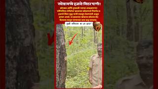 हा झाड खोडामध्ये हजारो लिटर पाणी साठवू शकतो.#short #shorts #shortsviral #viralvideoshortsfeed