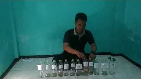 UNIVERSITAS BINA SARANA INFORMATIKA - ALGORITMA - BUBBLE SORTING