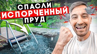 ПРУД ДЛЯ ПЛАВАНИЯ: Что нужно знать? | Спасли испорченный пруд на участке | Реконструкция пруда