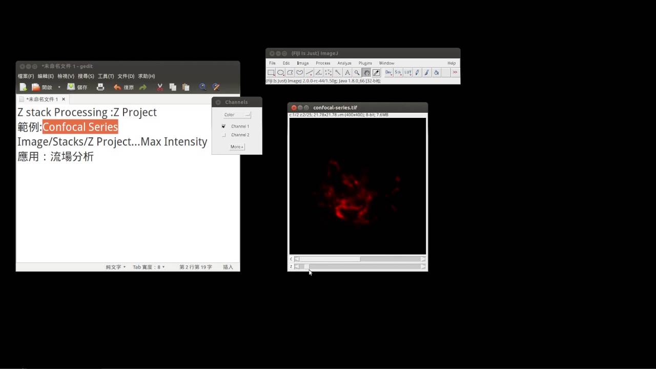 11 imagej的Z stack Processing Z Project YouTube