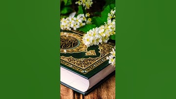 ماهر #المعيقلي (سوره  الإخلاص)
