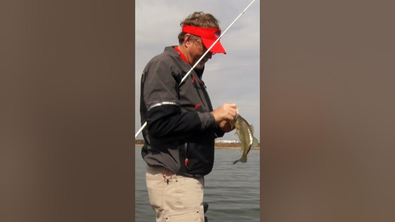 Using LiveScope to Catch Bass! shorts YouTube