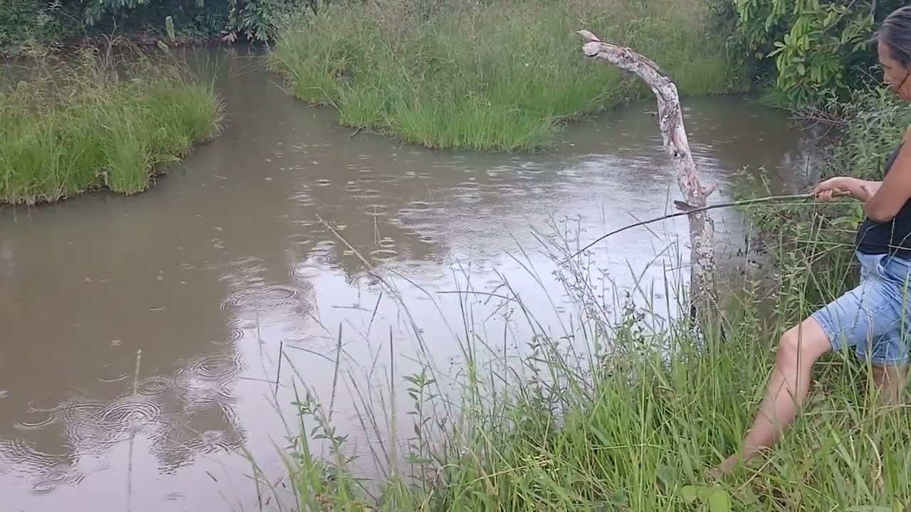 27 de fevereiro de 2026