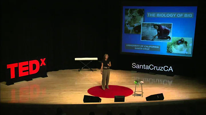 Seeing the world through animal eyes | Terrie Will...