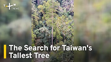 The Search for Taiwan