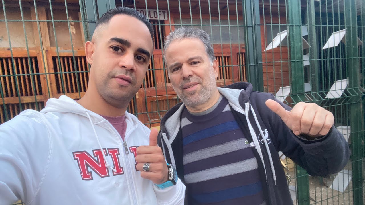 الحلقة 63 : سلسلة التعريف بالسلالات🥇🏆 مع الأهرام الكبار👈🏻 إخوان طاطو🧨💥212661435952+📞