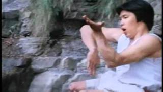 Best Kung Fu Training Montage Ever!