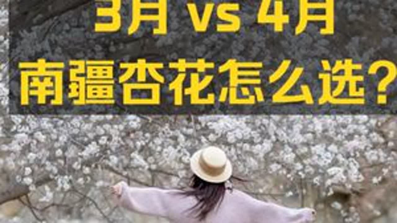 一年只有10天的南疆杏花，千万不要跑错时间！ #新疆杏花