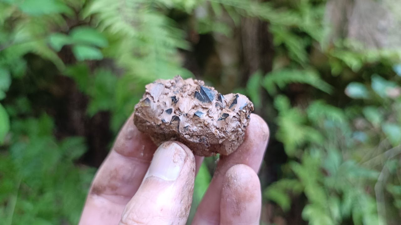 En route vers de nouveaux filons 👌