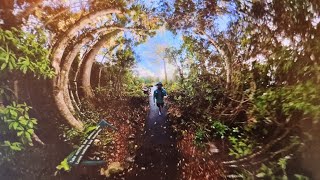 Blackall 100 - Kondalilla Recon
