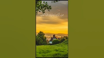 ربنا هب لنا من أزواجنا وذرياتنا قرة أعين|الآية ٧٤ سورة الفرقان 🌹💚