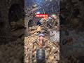 I Mounted a Tiny Camera on an Ant and Entered Its Underground City 🐜 #shorts #ai
