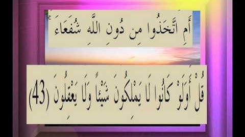 القرآن الكريم سورة الزمر الاية 43