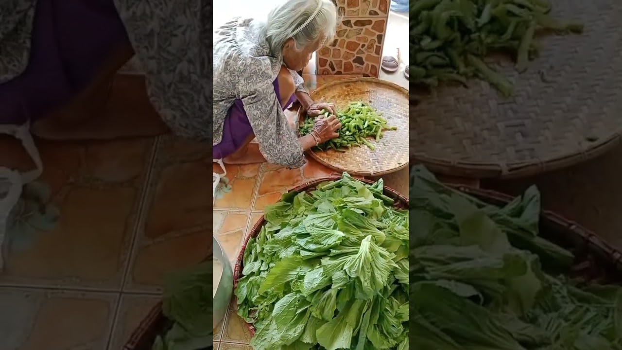 สูตรเด็ดเคล็ดไม่ลับอร่อยสุดๆผักดองสูตรคุณยายจ้าเพื่อนๆลองทำดูนะคะอร่อยจริงๆ